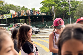 Foto - Passeio Zoológico 15/10/2025