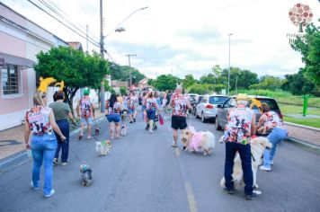 Foto - Se Joga, é Jumirim! Carnaval 2023!