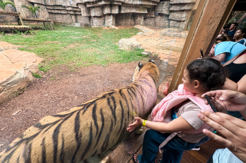 Foto - Passeio Zoológico 15/10/2025