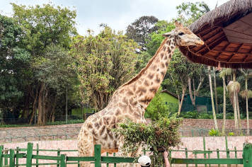 Foto - Passeio Zoológico 15/10/2025