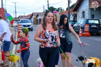 Foto - Se Joga, é Jumirim! Carnaval 2023!