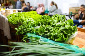 Foto - Pedal, Feira Noturna e Presépio - 12/12/25