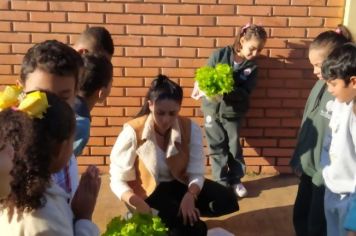 Foto - ALUNOS DA ESCOLA MUNICIPAL DE EDUCAÇÃO BÁSICA “GOVERNADOR MARIO COVAS” REALIZAM A PRIMEIRA COLHEITA NA HORTA ESCOLAR