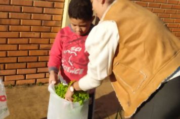 Foto - ALUNOS DA ESCOLA MUNICIPAL DE EDUCAÇÃO BÁSICA “GOVERNADOR MARIO COVAS” REALIZAM A PRIMEIRA COLHEITA NA HORTA ESCOLAR