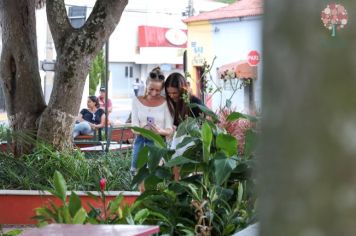 Foto - Domingo na Praça (26/11)
