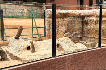 Foto - Passeio Zoológico 15/10/2025