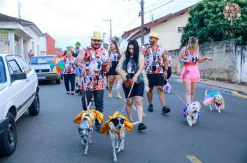 Foto - Se Joga, é Jumirim! Carnaval 2023!