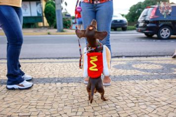 Foto - Se Joga, é Jumirim! Carnaval 2023!