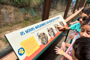 Foto - Passeio Zoológico 15/10/2025