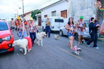 Foto - Se Joga, é Jumirim! Carnaval 2023!