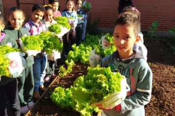 Foto - ALUNOS DA ESCOLA MUNICIPAL DE EDUCAÇÃO BÁSICA “GOVERNADOR MARIO COVAS” REALIZAM A PRIMEIRA COLHEITA NA HORTA ESCOLAR