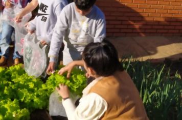 Foto - ALUNOS DA ESCOLA MUNICIPAL DE EDUCAÇÃO BÁSICA “GOVERNADOR MARIO COVAS” REALIZAM A PRIMEIRA COLHEITA NA HORTA ESCOLAR