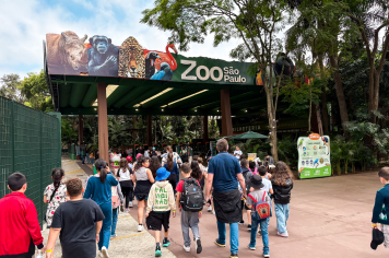 Foto - Passeio Zoológico 15/10/2025