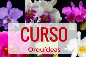 CURSO DE ORQUÍDEAS MINISTRADO PELO SENAR É REALIZADO NO CRAS