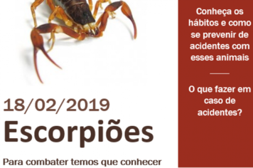Palestra sobre escorpiões