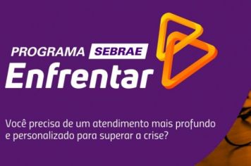 Programa SEBRAE - Enfrentar