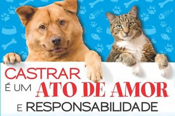 CASTRAÇÃO GRATUITA DE CÃES E GATOS