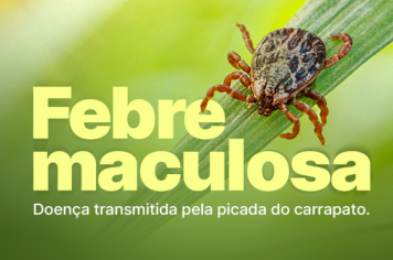 Orientação sobre a Febre Maculosa