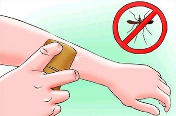 Cuidados com a Dengue 