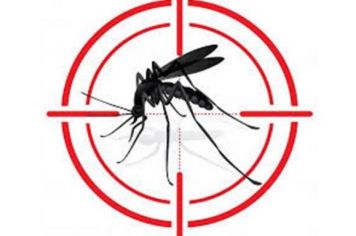 Boletim Dengue