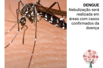 DENGUE