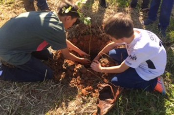 Plantio de Arvores no antigo Aterro Municipal de Jumirim