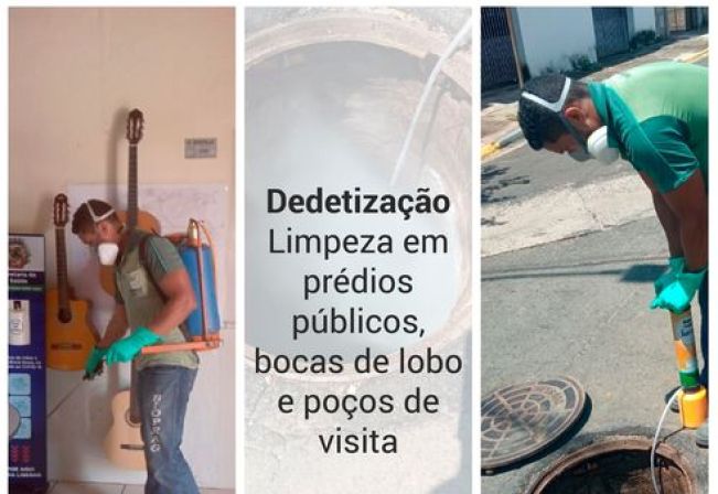 DEDETIZAÇÃO, DESINSETIZAÇÃO E DESRATIZAÇÃO