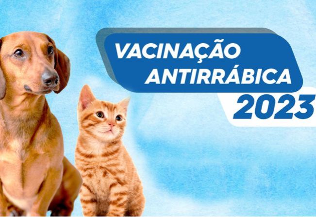 Confira o calendário de vacinação antirrábica