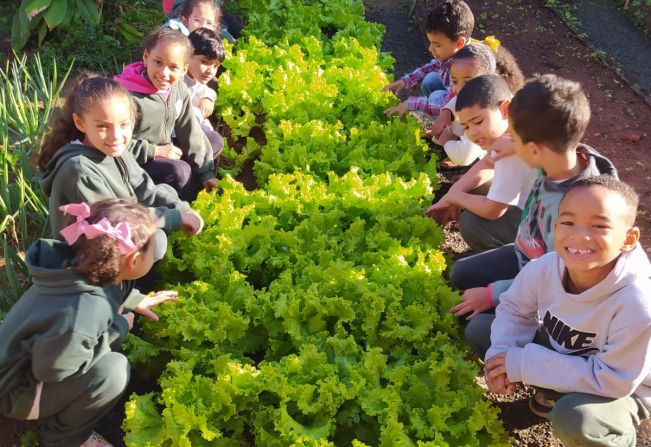 ALUNOS DA ESCOLA MUNICIPAL DE EDUCAÇÃO BÁSICA “GOVERNADOR MARIO COVAS” REALIZAM A PRIMEIRA COLHEITA NA HORTA ESCOLAR