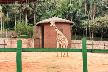 Foto - Passeio Zoológico 15/10/2025
