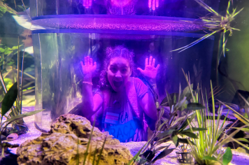 Foto - Passeio Zoológico 15/10/2025