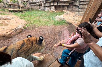 Foto - Passeio Zoológico 15/10/2025