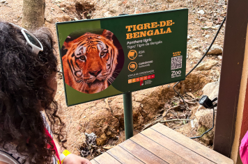 Foto - Passeio Zoológico 15/10/2025