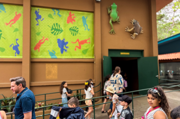 Foto - Passeio Zoológico 15/10/2025