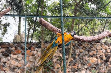 Foto - Passeio Zoológico 15/10/2025