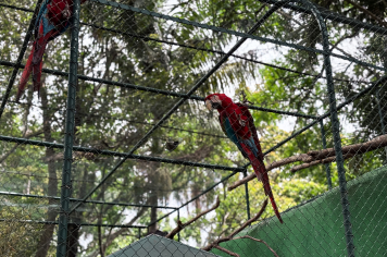 Foto - Passeio Zoológico 15/10/2025