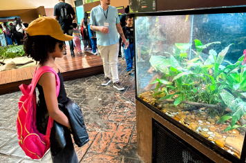 Foto - Passeio Zoológico 15/10/2025