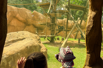 Foto - Passeio Zoológico 15/10/2025