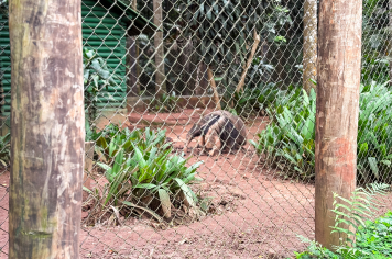 Foto - Passeio Zoológico 15/10/2025