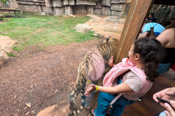 Foto - Passeio Zoológico 15/10/2025