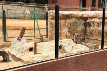 Foto - Passeio Zoológico 15/10/2025