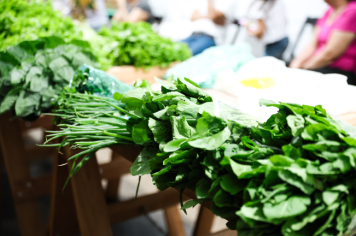 Foto - Feira Noturna - 21/08/2025