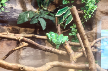 Foto - Passeio Zoológico 15/10/2025