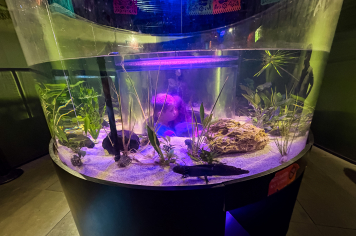 Foto - Passeio Zoológico 15/10/2025