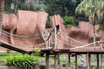 Foto - Passeio Zoológico 15/10/2025