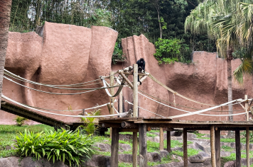 Foto - Passeio Zoológico 15/10/2025