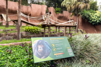 Foto - Passeio Zoológico 15/10/2025