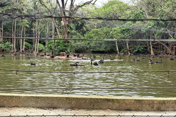 Foto - Passeio Zoológico 15/10/2025
