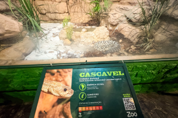 Foto - Passeio Zoológico 15/10/2025