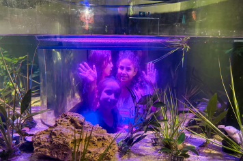 Foto - Passeio Zoológico 15/10/2025